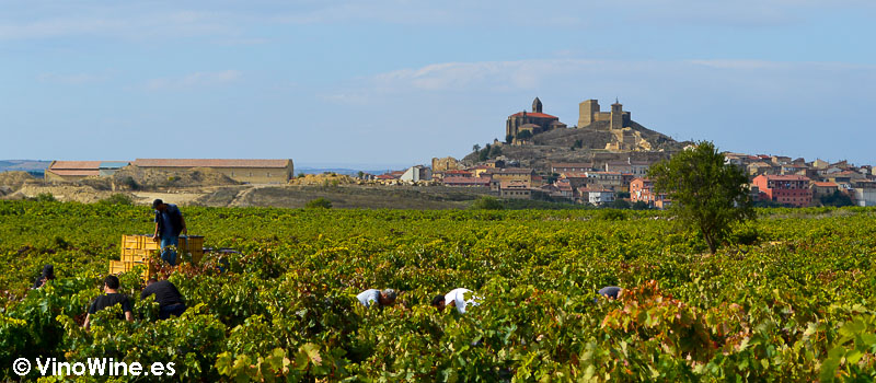 Vinedos de Contador con el castillo de San Vicente de la Sonsierra