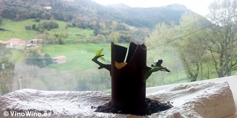 Tiramisú en paisaje del Restaurante Solana de Cantabria