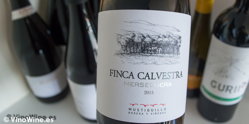 Finca Calvestra 2015, uno de los 10 vinos valencianos seleccionados por Jose Ruiz