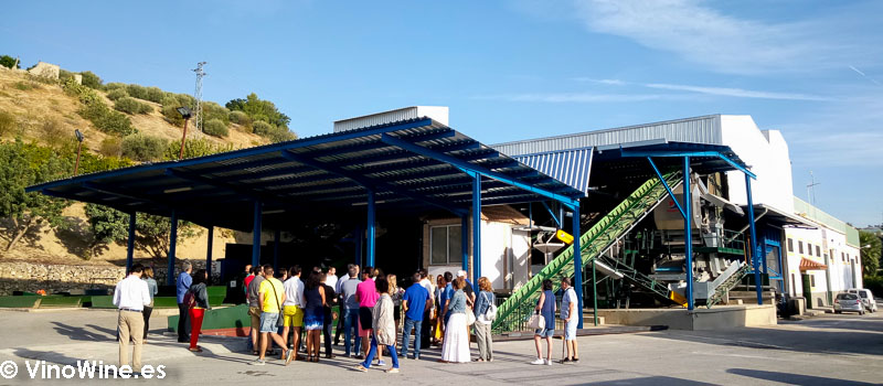 Instalaciones de Almazara Sana Ana propiedad de Bodegas del Pino visitada en el Encuentro Verema Montilla Moriles