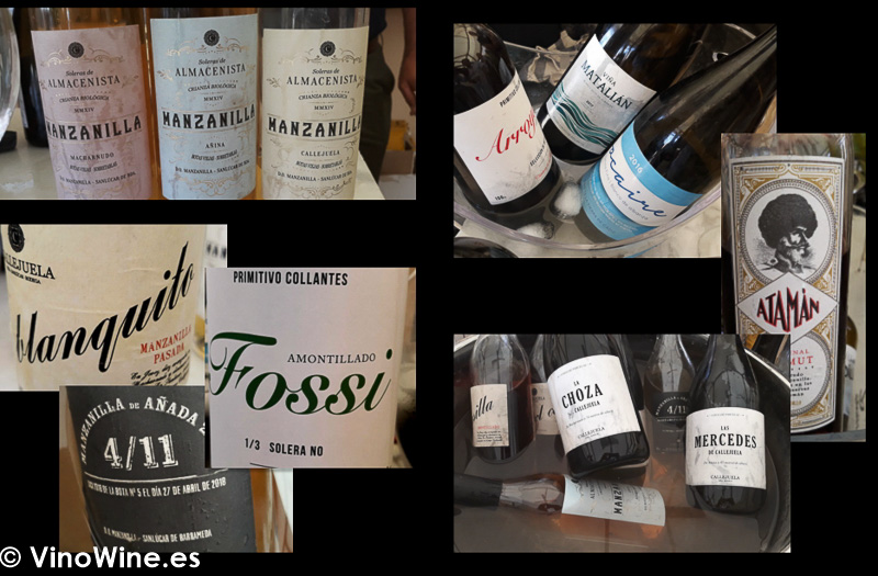Algunos de los vinos catados en Territorio Albariza en Vinoble