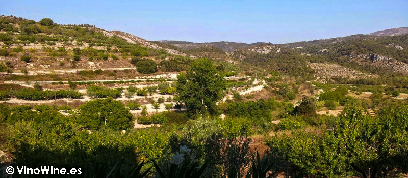 Vistas desde la terraza de La Almasera de Margarida (Alicante)